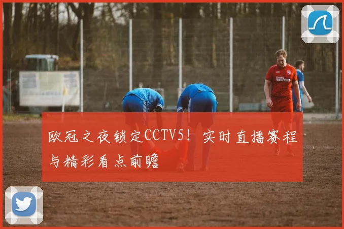 欧冠之夜锁定CCTV5！实时直播赛程与精彩看点前瞻