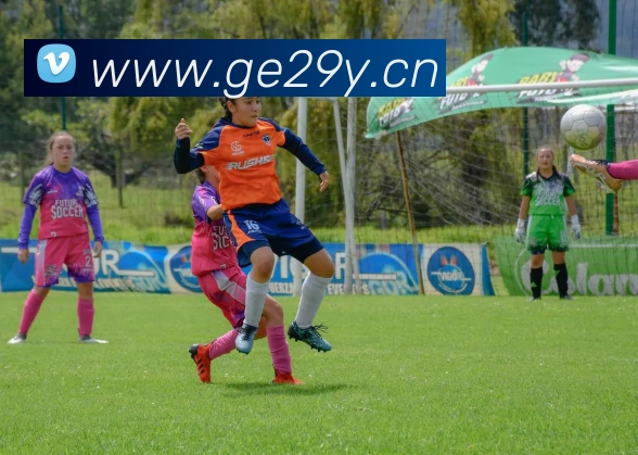 kaiyun官方网站入口品牌故事